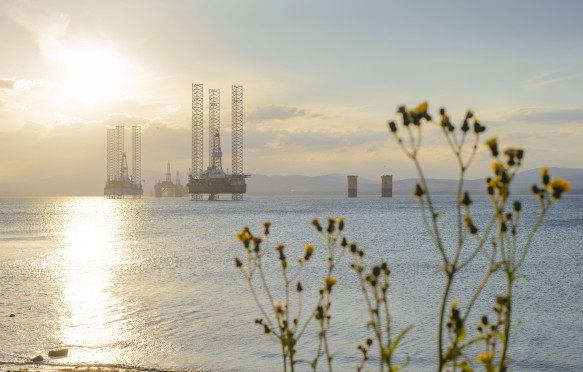 North Sea oil platforms, shot from the shore, moored in Cromarty Firth, Scotland. Defocused wild flowers in the foreground, growing on the shore