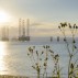 North Sea oil platforms, shot from the shore, moored in Cromarty Firth, Scotland. Defocused wild flowers in the foreground, growing on the shore