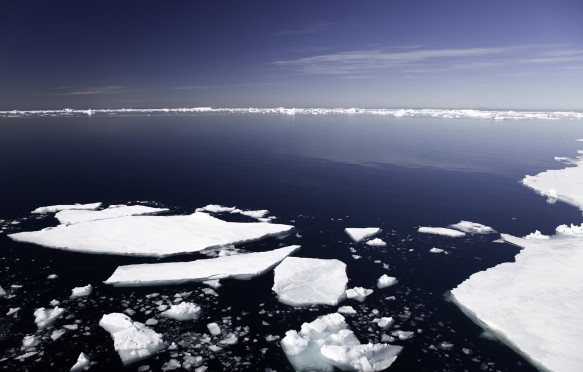 sheets of ice in antarctica, icebergs in the background, deep blue sunny sky