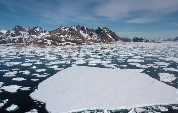 Sea ice breaking up in spring, near Kulusuk, Greenland.