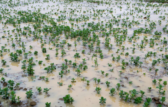 Flooded field of winter crops on a farm in the UK
