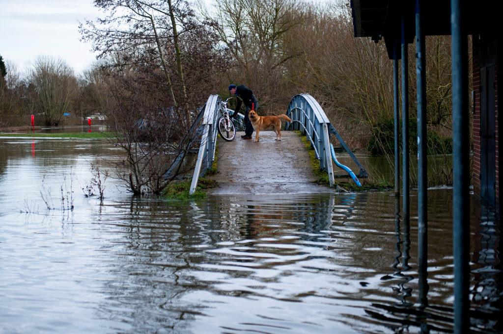 DPACYH Oxford, UK. 10th January 2014. Man and dog on bridge cut off by flooding River levels in Oxford are at their highest levels since 2007 Credit: roger askew/Alamy Live News