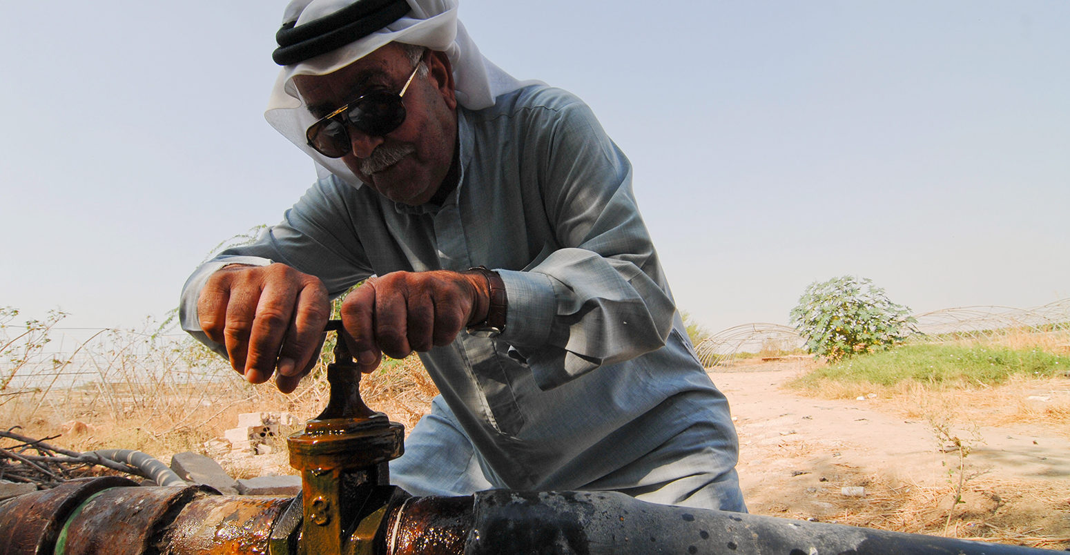 Water shortage and agriculture in the Jordan valley.