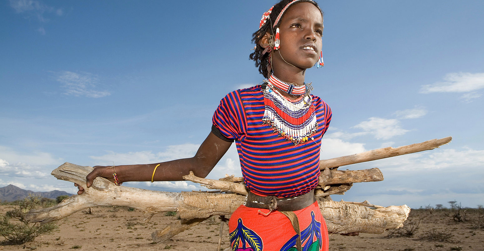 BE328R Ethiopian girls collect firewood for cooking. Due to global warming and change in climate, there are less trees