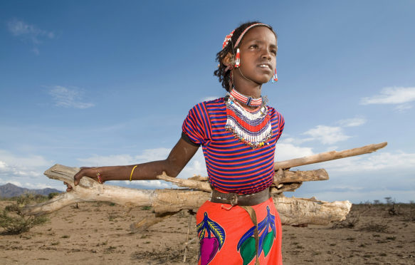 BE328R Ethiopian girls collect firewood for cooking. Due to global warming and change in climate, there are less trees