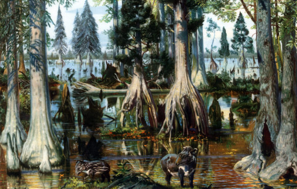 Eocene landscape (56 to 34 million years ago)