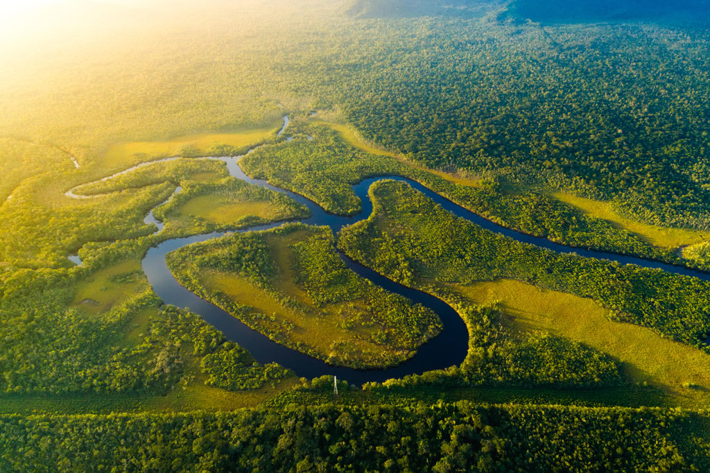 K276E6 Aerial View of a Rainforest in Brazil