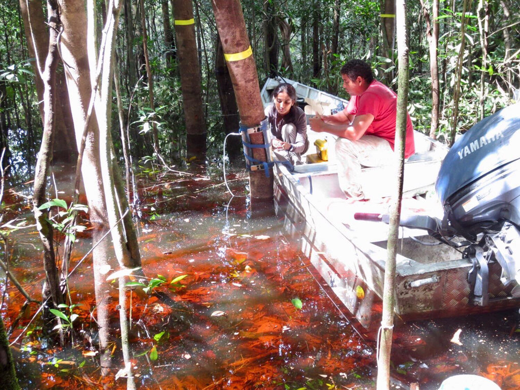 photo of fieldwork conducted in the Amazon wetlands