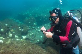 F560N5 scientific diver taking notes during coral bleaching event at Alcatrazes island, Sao Paulo state shore, Brazil.