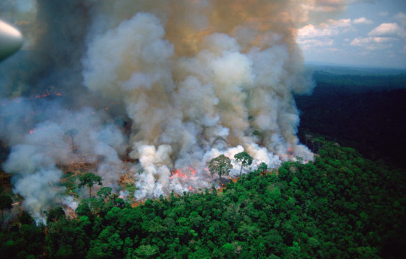 Amazon rain forest afire. Credit: Stock Connection Blue / Alamy Stock Photo BNX7RP