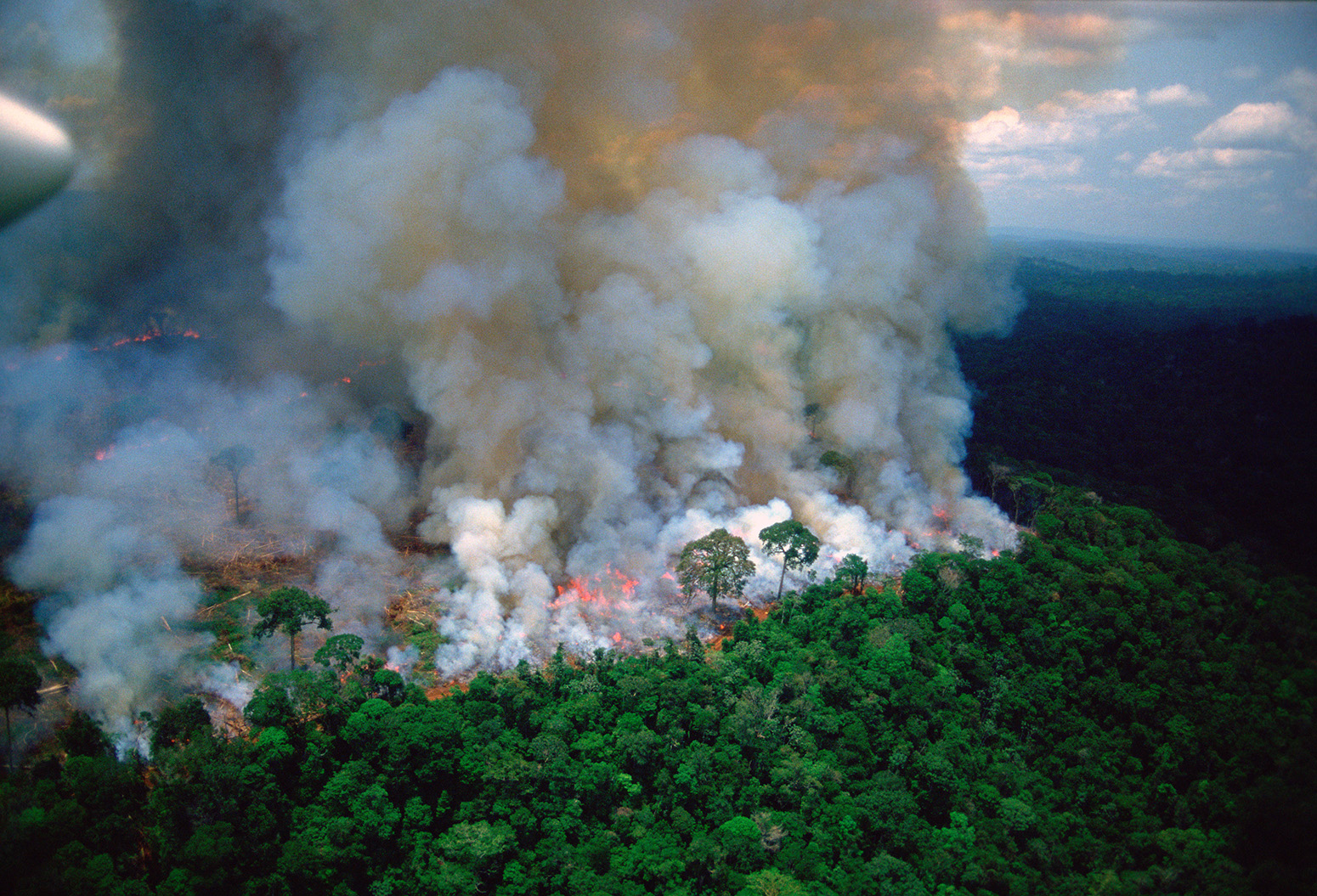 Carbon Emissions From Amazon Wildfires Could Counteract Deforestation Decline Carbon Brief Carbon Emissions From Amazon Wildfires Could Counteract Deforestation Decline Carbon Brief