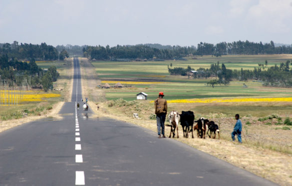 Road receding into the distance from Addis Ababa to Shafartak bridge. Credit: Andrew Holt / Alamy Stock Photo AAFNYD