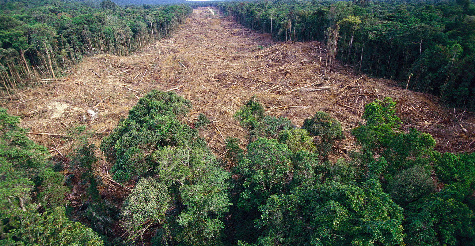 Clearing of tropical rainforest south of Lake Kutubu, Papua New Guinea. Credit: Minden Pictures / Alamy Stock Photo. H7PNTF