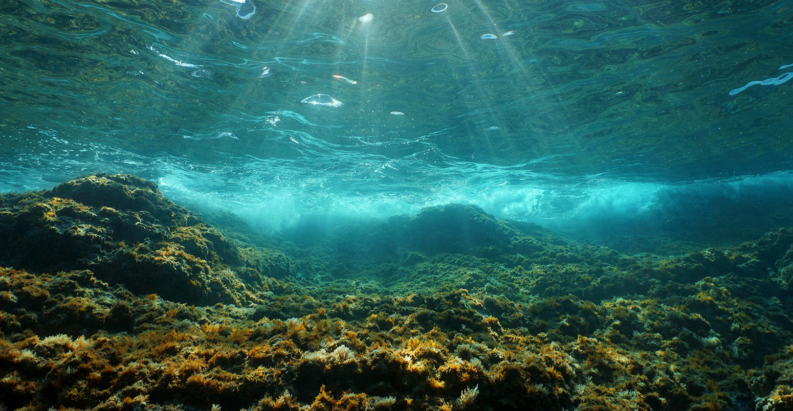 Sunlight through the water surface, Costa Brava, Spain. Credit: Seaphotoart / Alamy Stock Photo. JYDNWH