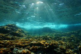 Sunlight through the water surface, Costa Brava, Spain. Credit: Seaphotoart / Alamy Stock Photo. JYDNWH