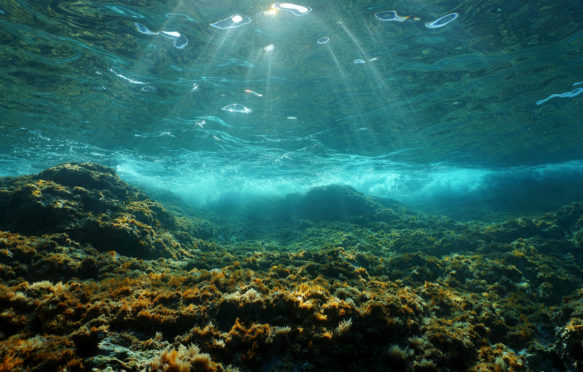 Sunlight through the water surface, Costa Brava, Spain. Credit: Seaphotoart / Alamy Stock Photo. JYDNWH