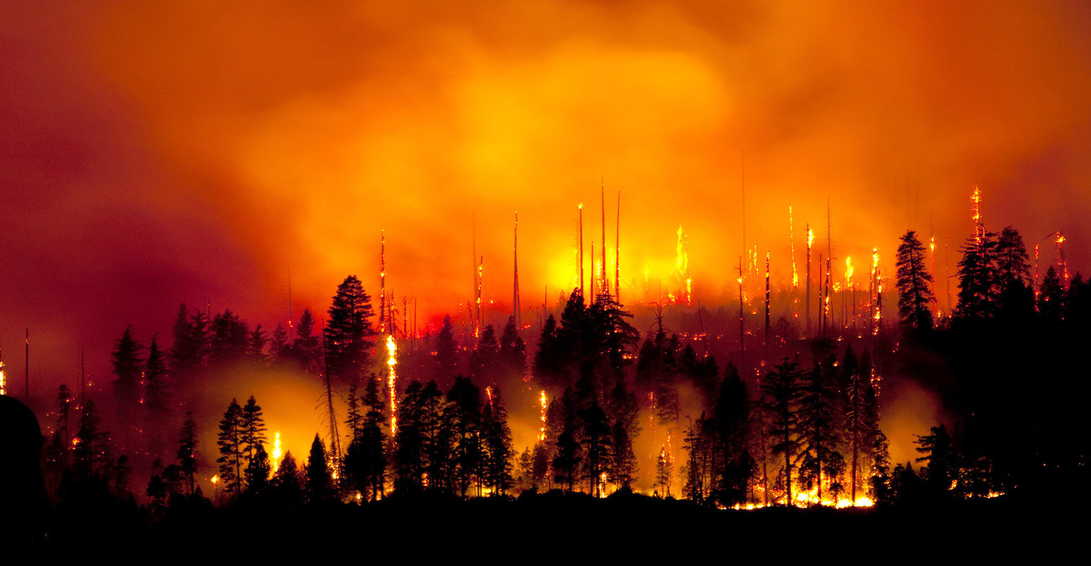 Wildfire in Yosemite National Park, 2009. Kip Evans / Alamy Stock Photo. BT496N