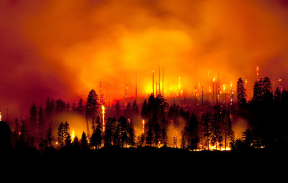Wildfire in Yosemite National Park, 2009. Kip Evans / Alamy Stock Photo. BT496N