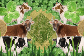 Can beef farmers reduce their carbon footprint? Illustration by Rosamund Pearce for Carbon Brief.