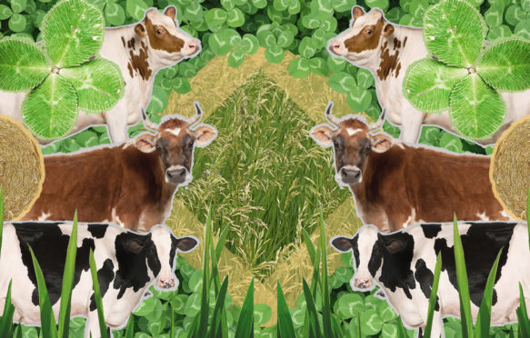 Can beef farmers reduce their carbon footprint? Illustration by Rosamund Pearce for Carbon Brief.