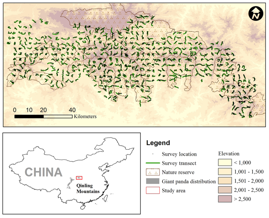 Giant Panda Population Chart