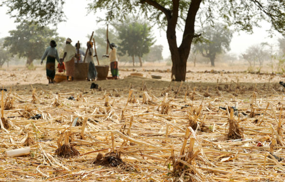 Kaya, Burkina Faso. The Sahel region is regularly affected by droughts. Credit: Joerg Boethling / Alamy Stock Photo. DRYCY3