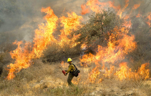 Firefighters battle the Holy Fire burning in the Cleveland National Forest, Los Angeles, California, 10 August 2018. ZUMA Press, Inc. / Alamy Stock Photo. PDXJ0A
