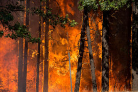 Wildfire at Buckhorn Summit, California, US. 30 July 2018.