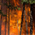 Wildfire at Buckhorn Summit, California, US. 30 July 2018.