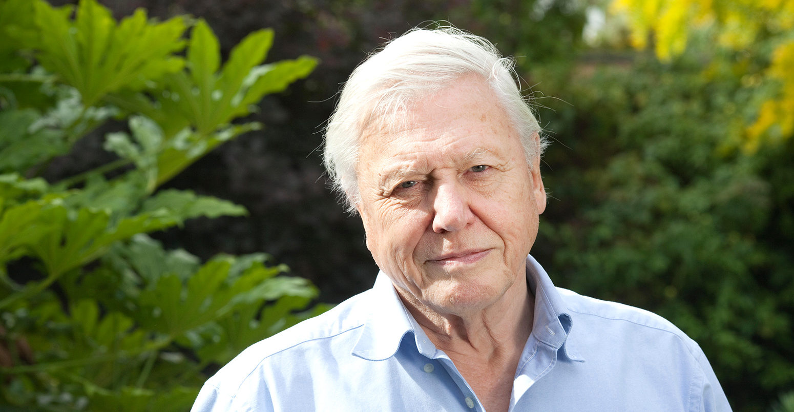 Sir David Attenborough, English broadcaster and naturalist. Credit: Jeff Gilbert / Alamy Stock Photo. FDW7WY