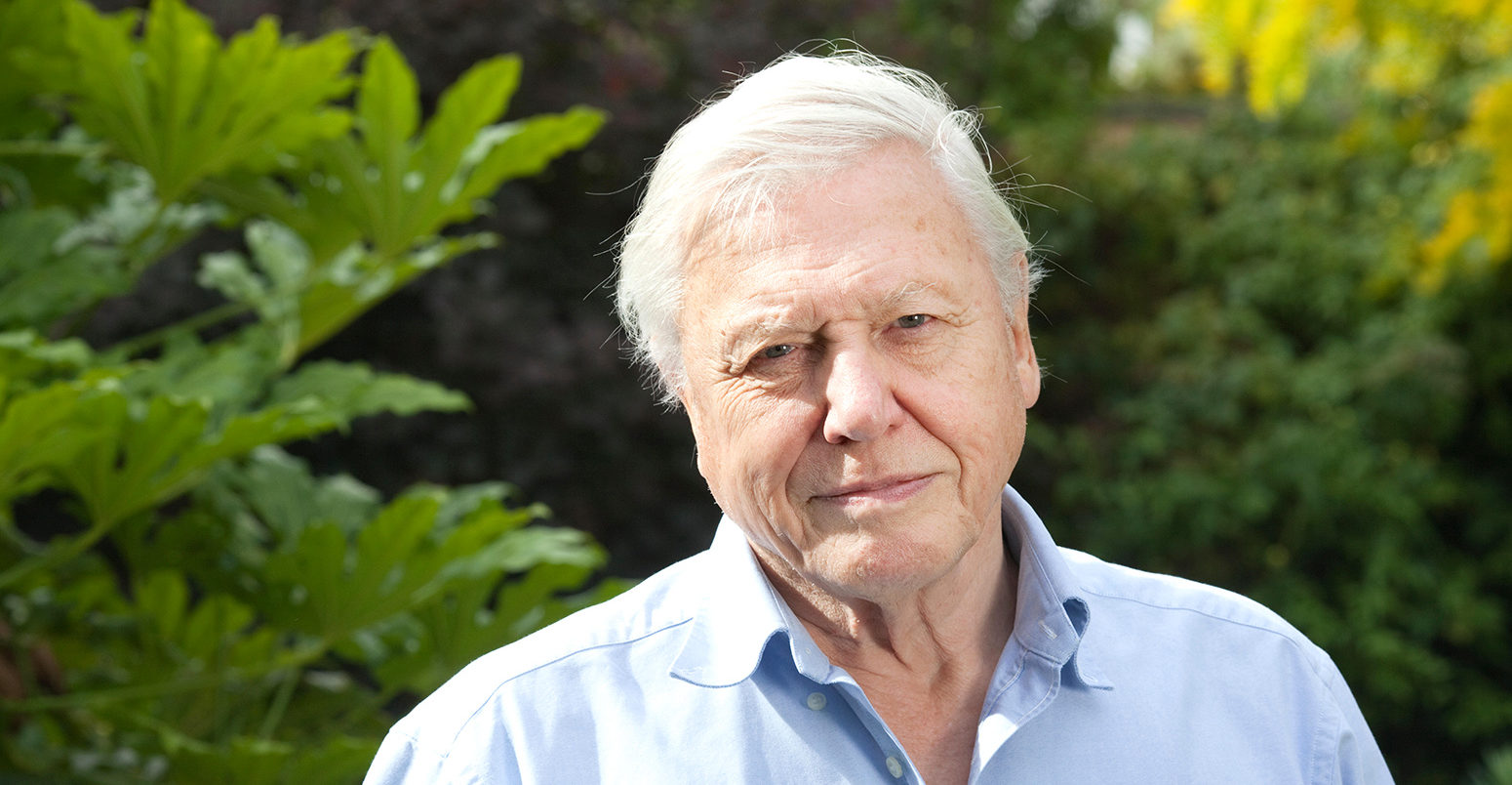 https://www.carbonbrief.org/wp-content/uploads/2018/08/david-attenborough-sm-1550x804.jpg