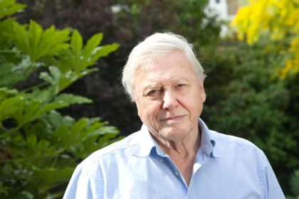 Sir David Attenborough, English broadcaster and naturalist. Credit: Jeff Gilbert / Alamy Stock Photo. FDW7WY