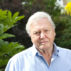 Sir David Attenborough, English broadcaster and naturalist. Credit: Jeff Gilbert / Alamy Stock Photo. FDW7WY