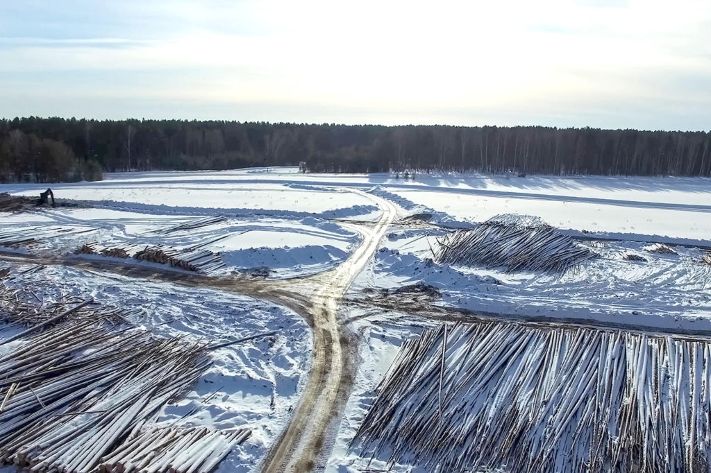 Deforestation in Russia. Credit: Andrey Nyrkov / Alamy Stock Photo. MR5XKF