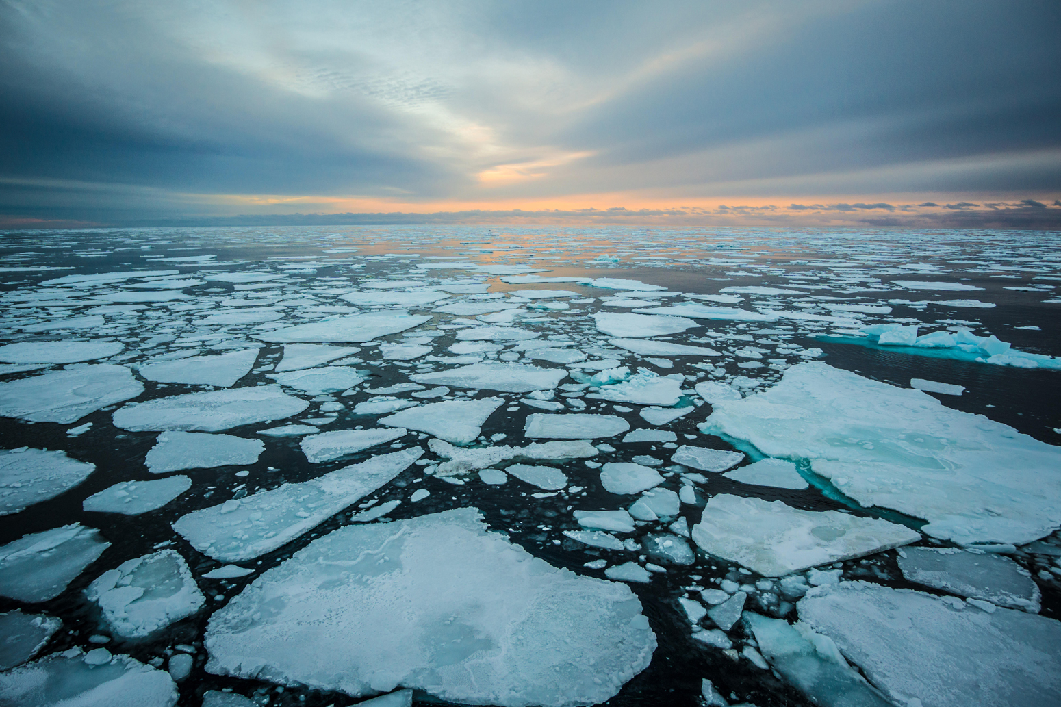 Is Arctic Sea Ice really declining? | Principia Scientific Intl.