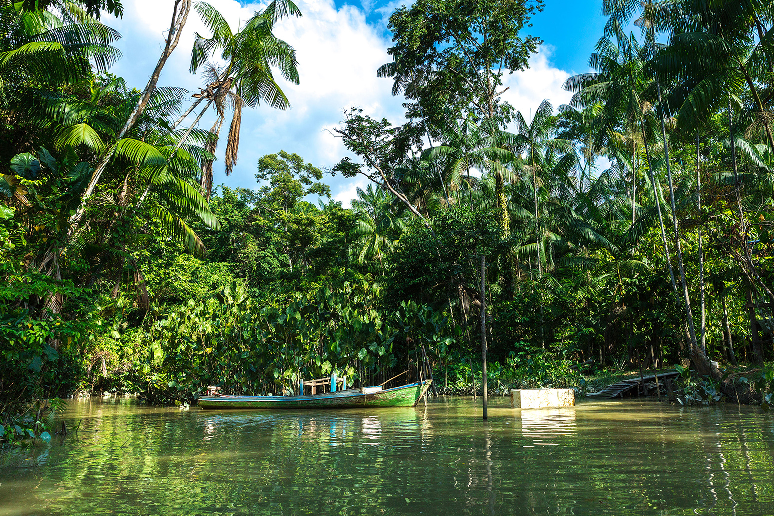 Amazon wetlands