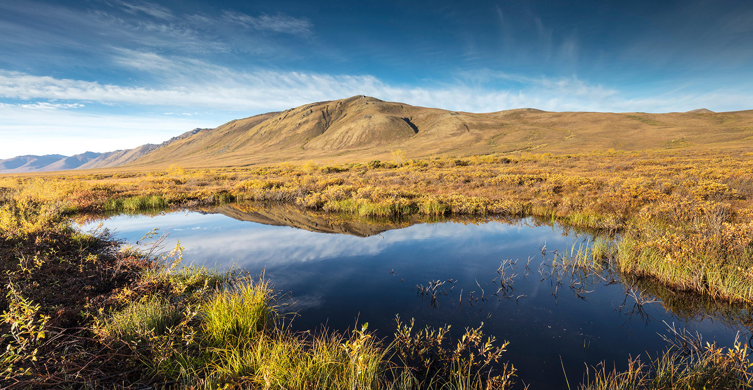 KCKBF1 Surfbird Mountain reflection, Tombstone Territorial Park, Yukon, Canada