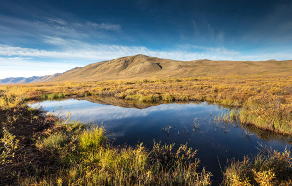 KCKBF1 Surfbird Mountain reflection, Tombstone Territorial Park, Yukon, Canada
