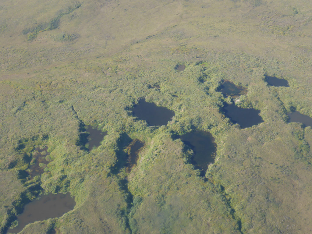 Quickly growing early-stage thermokarst ponds in ice-rich permafrost on the Baldwin peninsula in north-western Alaska. Credit: J. Lenz