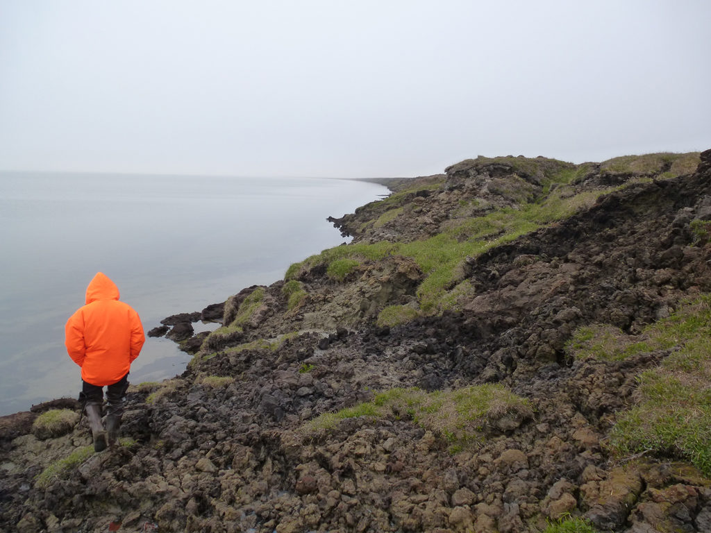 Eroding permafrost along the shoreline of an expanding thermokarst lake in northern Alaska. Credit: I. Nitze