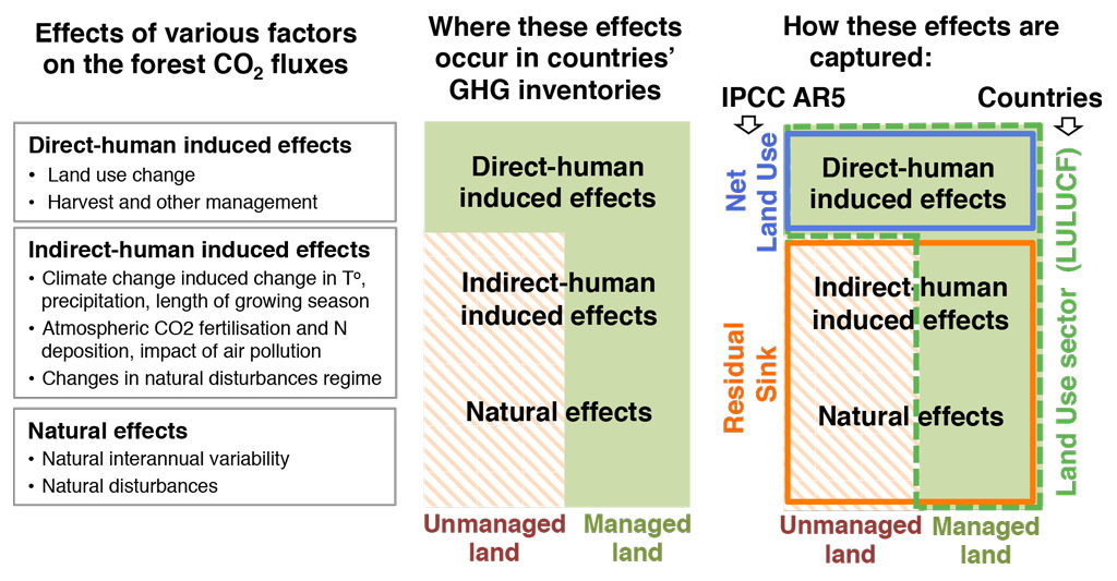 The main conceptual differences in defining “anthropogenic” land CO2 sources and sinks between the global model approaches assessed in IPCC AR5 and countries’ GHG inventories. Source: Grassi et al. (2018).