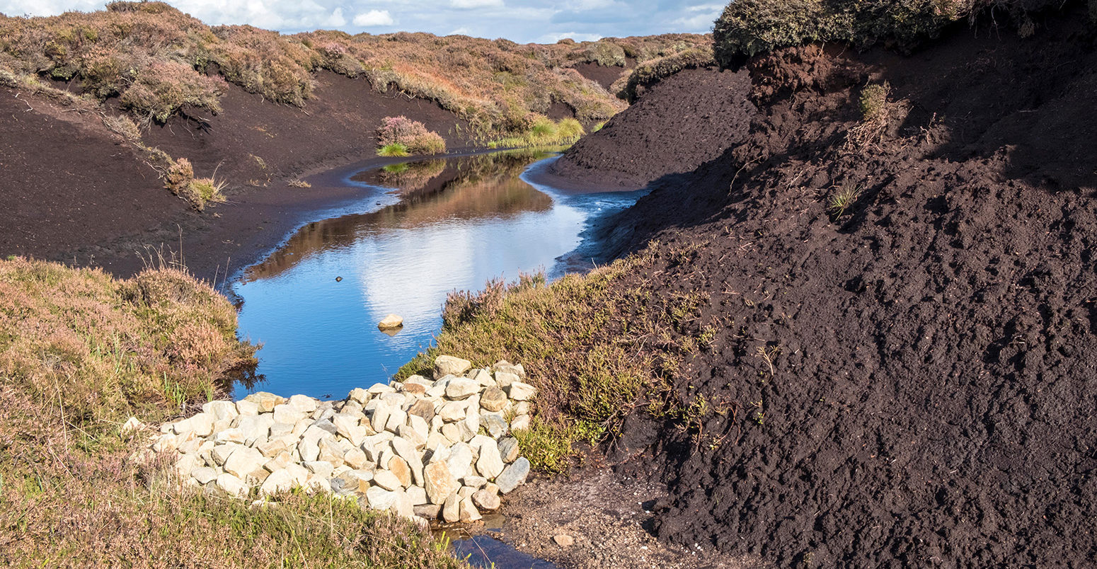 Stones used to block a gulley and prevent further erosion of moorland peat on Kinder Scout, Derbyshire, Peak District, UK. Credit: Martyn Williams / Alamy Stock Photo. M7RHP3