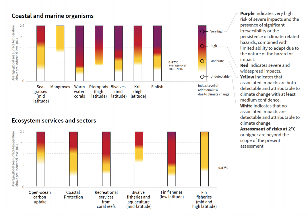 Summary of additional risks of impacts from ocean warming (and associated climate change factors such ocean acidification) for a range of ocean organisms, ecosystem and sectors at 1C, 1.5C and 2C warming of average sea surface temperature, relative to pre-industrial levels. Credit: IPCC (pdf)