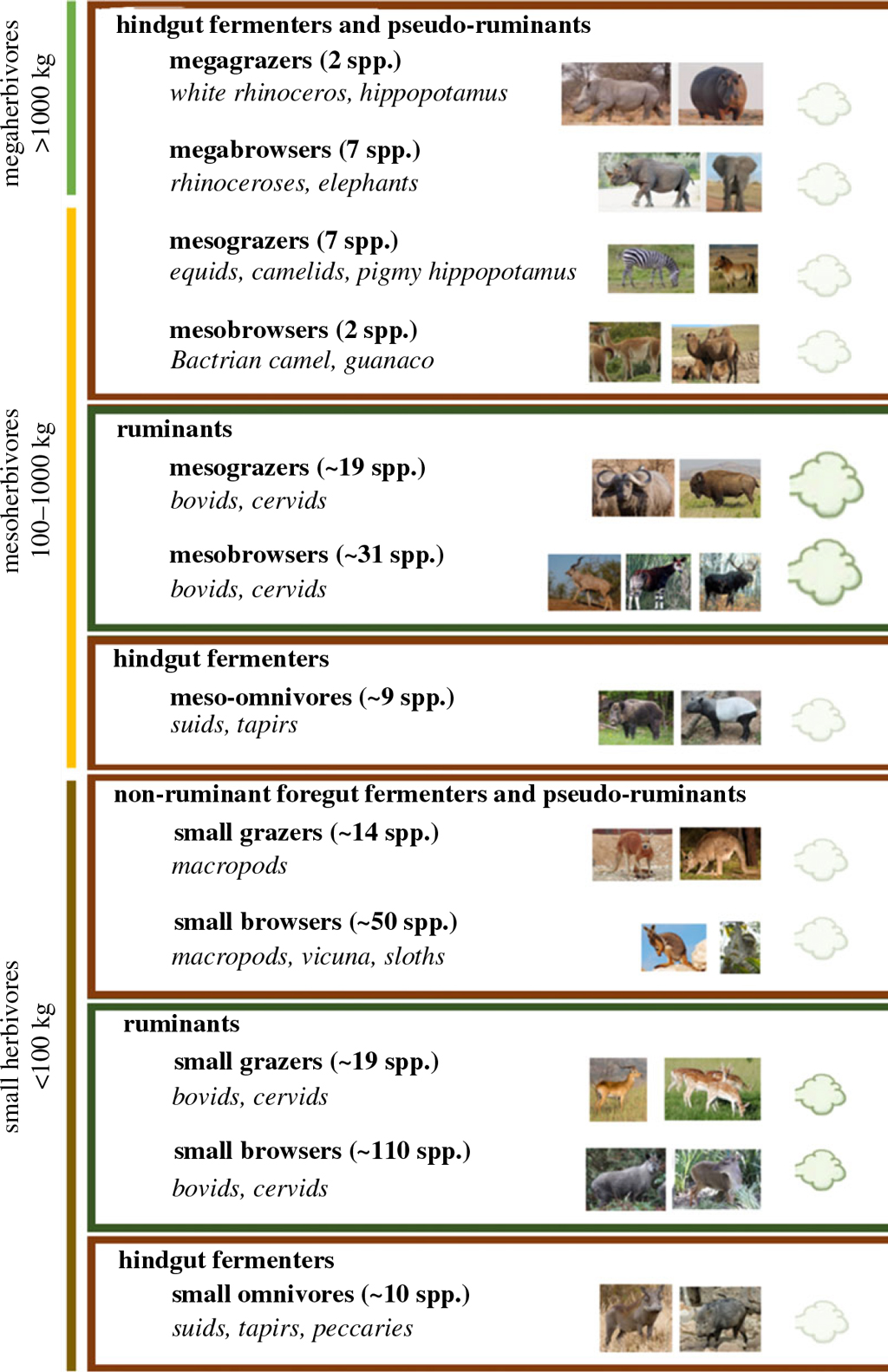 Humans Are Herbivores Chart