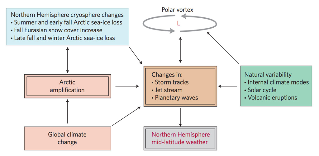 Schematic of influences on northern hemisphere mid-latitude weather. Source: Cohen et al. (2014)