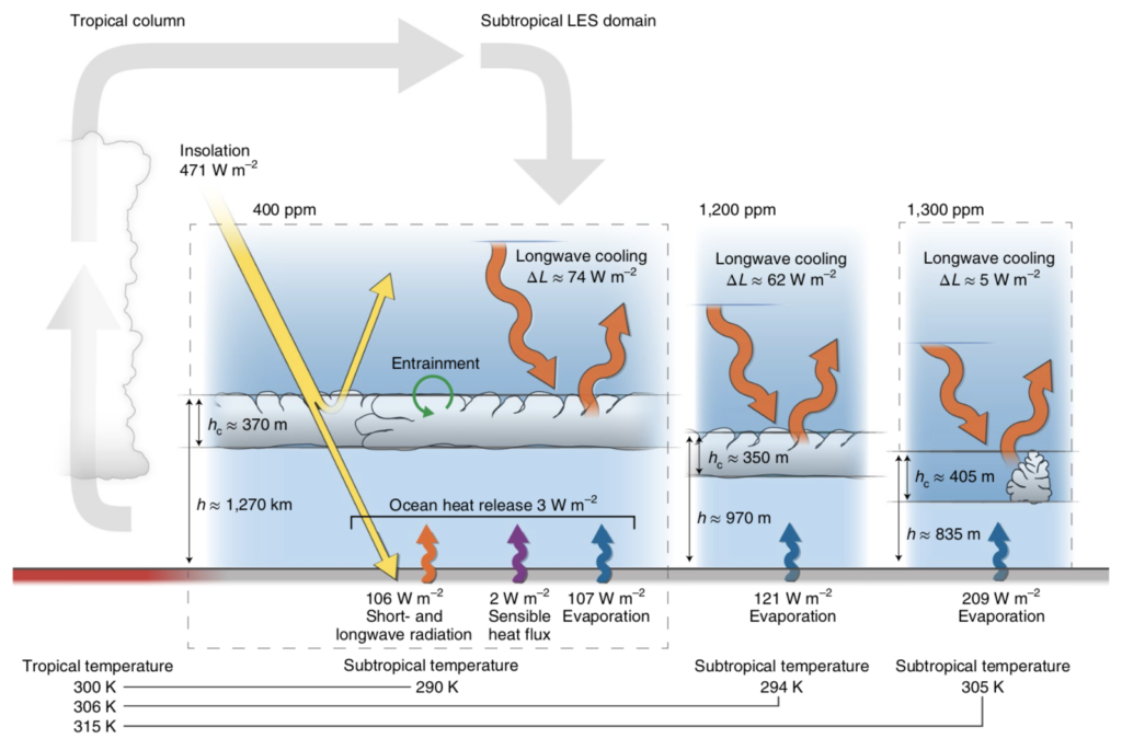 Diagramg showing Simulated clouds in the present climate (400ppm CO2), at higher CO2 (1,200 ppm) and after stratocumulus breakup (1,300ppm). From Figure 1 in Schneider et al 2019. 