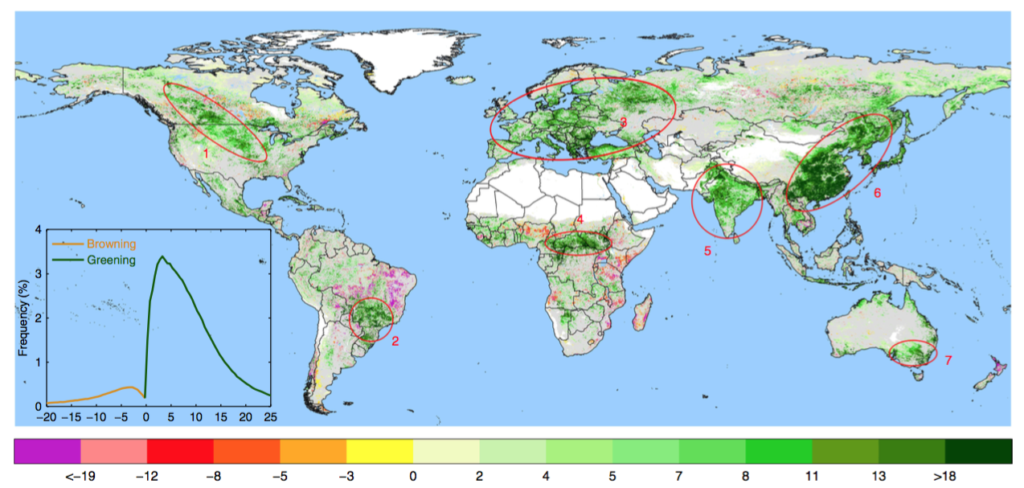 Map showing The global distribution of “greening” (light to dark green) and “browning” (yellow to purple) from 2000-16, as observed by “Modis”. On the map, white areas depict barren land, permafrost, ice, wetlands and built-up areas. The inset shows the frequency distribution of statistically significant trends. Source: Chen et al. (2019)