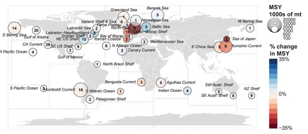 Fish Yield Chart