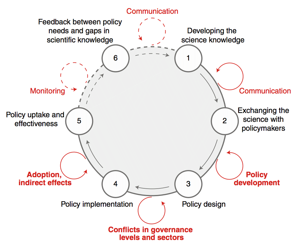 Illustration of time lags within the science–policy exchange cycle. Science-based policymaking is a cyclical process that involves potential time lags (shown in red) at each step that may also reduce the ultimate impact of the policies. Time lags highlighted in bold are those focused on here. Monitoring of policy impacts and feedbacks to new scientific research (shown as dashed lines) are particularly uncertain processes that might not only involve time lags, but might also effectively not take place. Source: Brown et al. (2019)