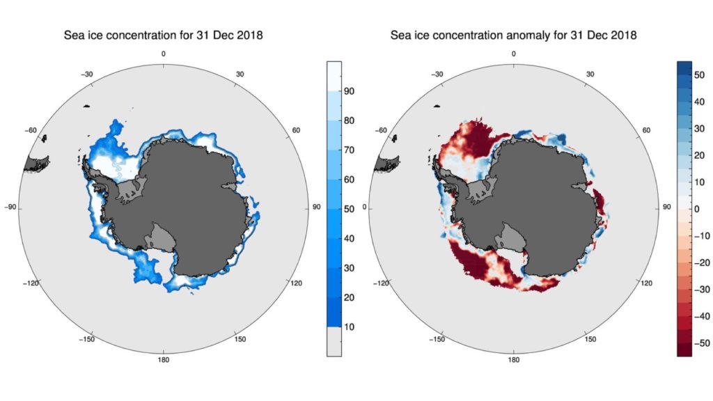 Maps of sea ice concentration (left) and sea ice concentration relative to long-term average (right), for 31 December 2018. In the right map, blues indicate higher than average sea ice concentrations; reds indicate lower than average concentrations. Credit: Phil Reid, Australian Bureau of Meteorology, and NSIDC. 